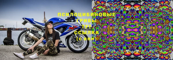 первитин Белокуриха